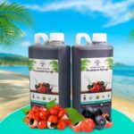 Guaraná syrup 1 liter