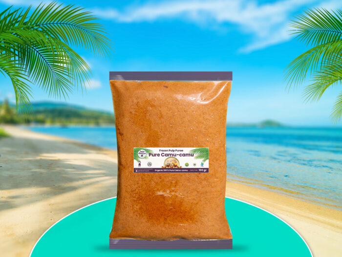 Frozen Organic Açai Berry Pulp Puree - Image 4