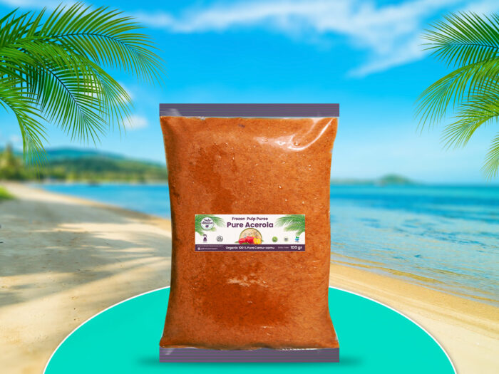 Frozen Organic Açai Berry Pulp Puree - Image 3